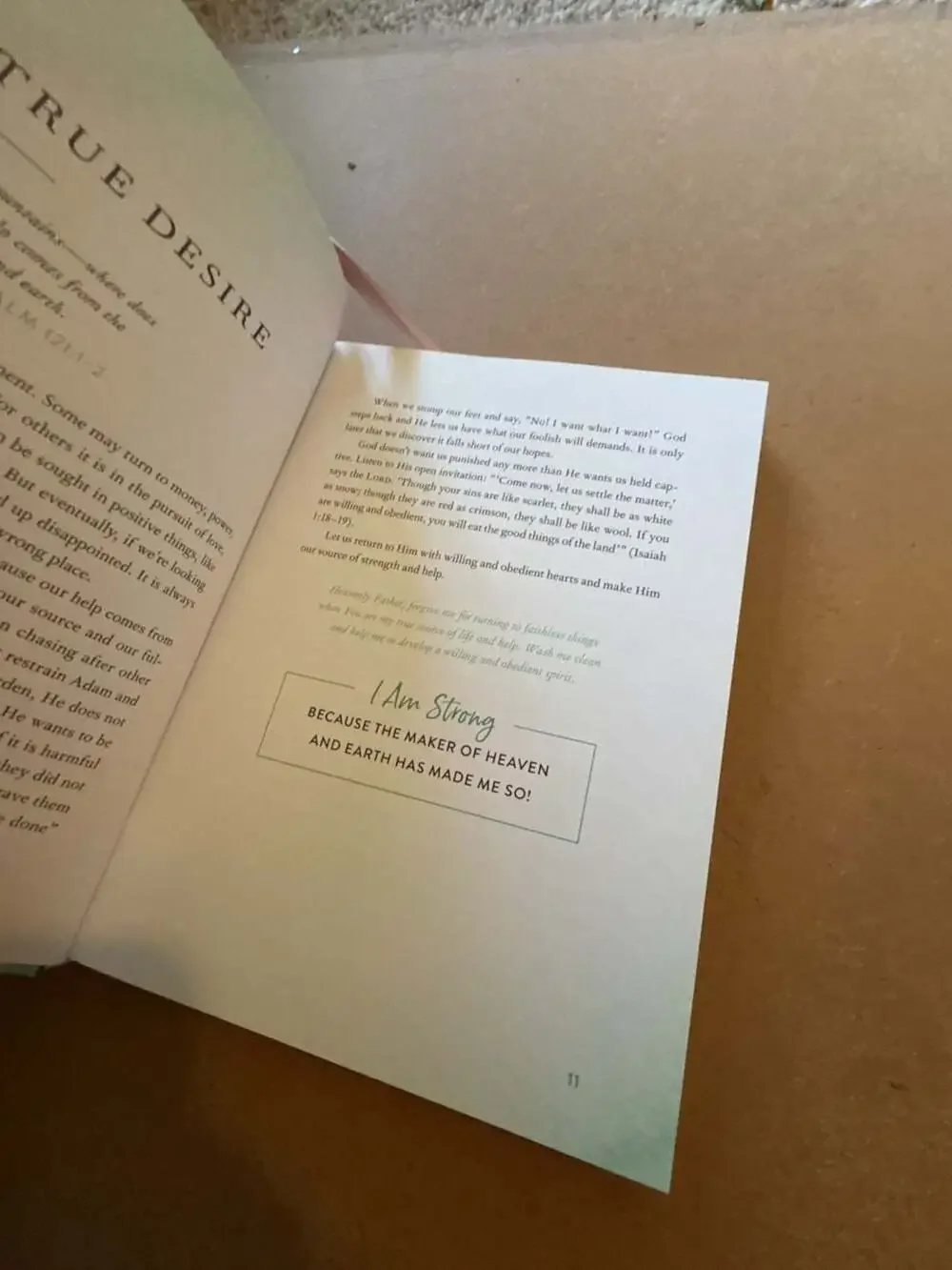 Strong: Devotions to Live a Powerful & Passionate Life by Lisa Bevere (Hardcover